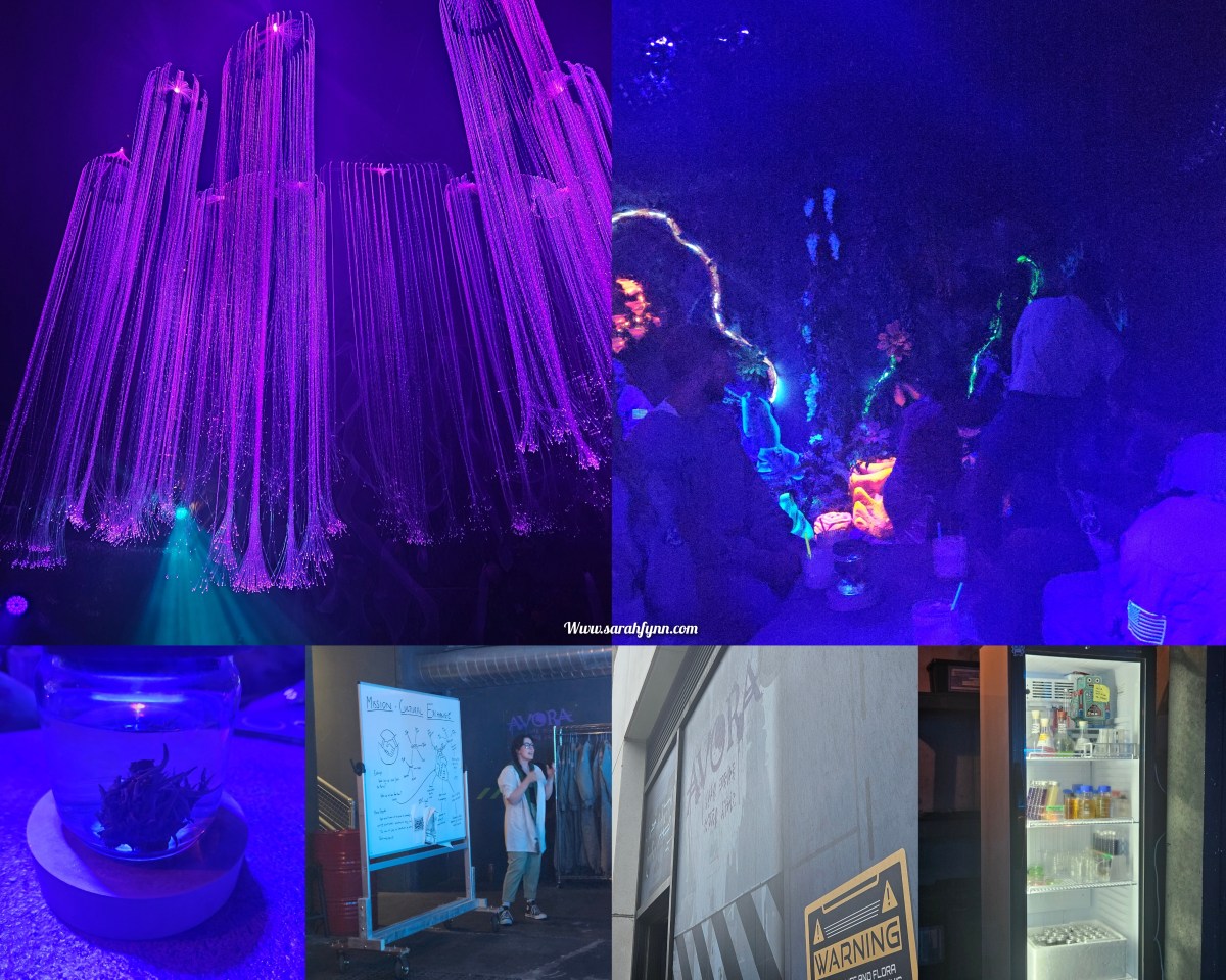 Avora Immersive Experience