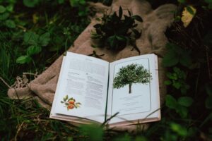 Beyond the ordinary: Create an extraordinary life in India