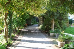 Create a secret garden as a therapeutic outdoor space