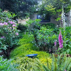 Deborah's Mountain Gardens on Vancouver Island
