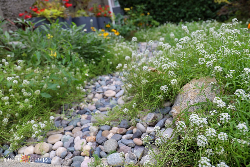 Design dry river beds and solve drainage problems