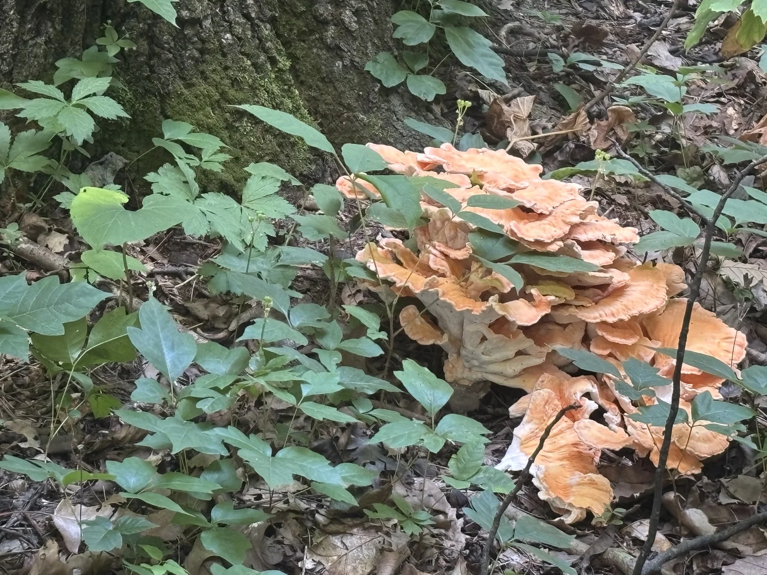 Do you feel good? Summer to Autumn