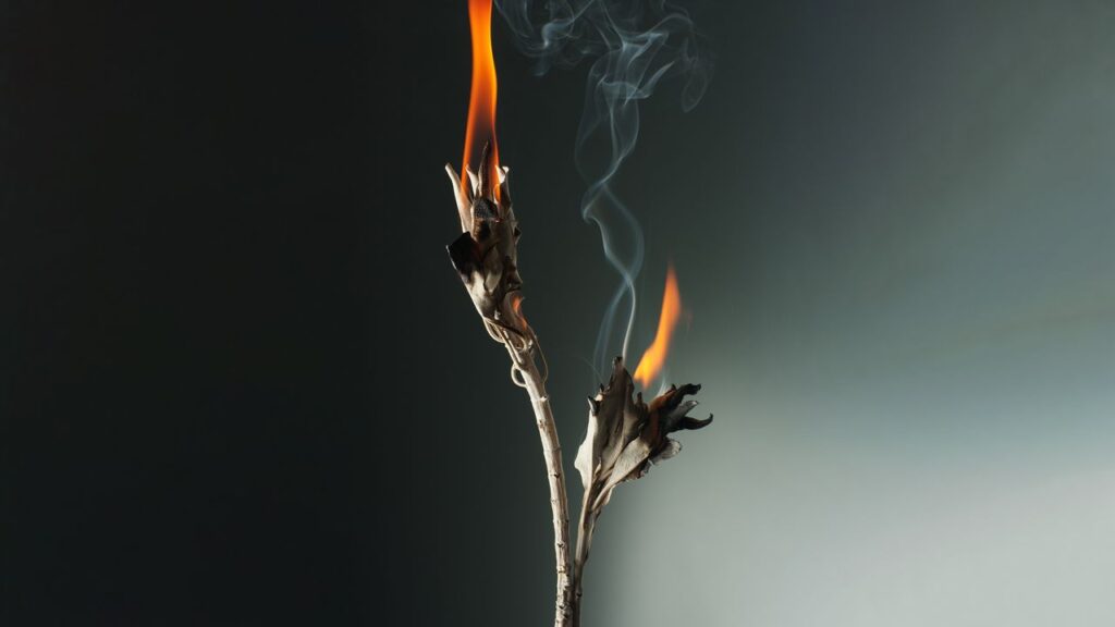 Fall's Top Fragrance Trends welcomes the Witch's Season