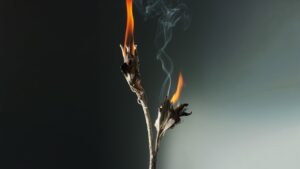 Fall's Top Fragrance Trends welcomes the Witch's Season