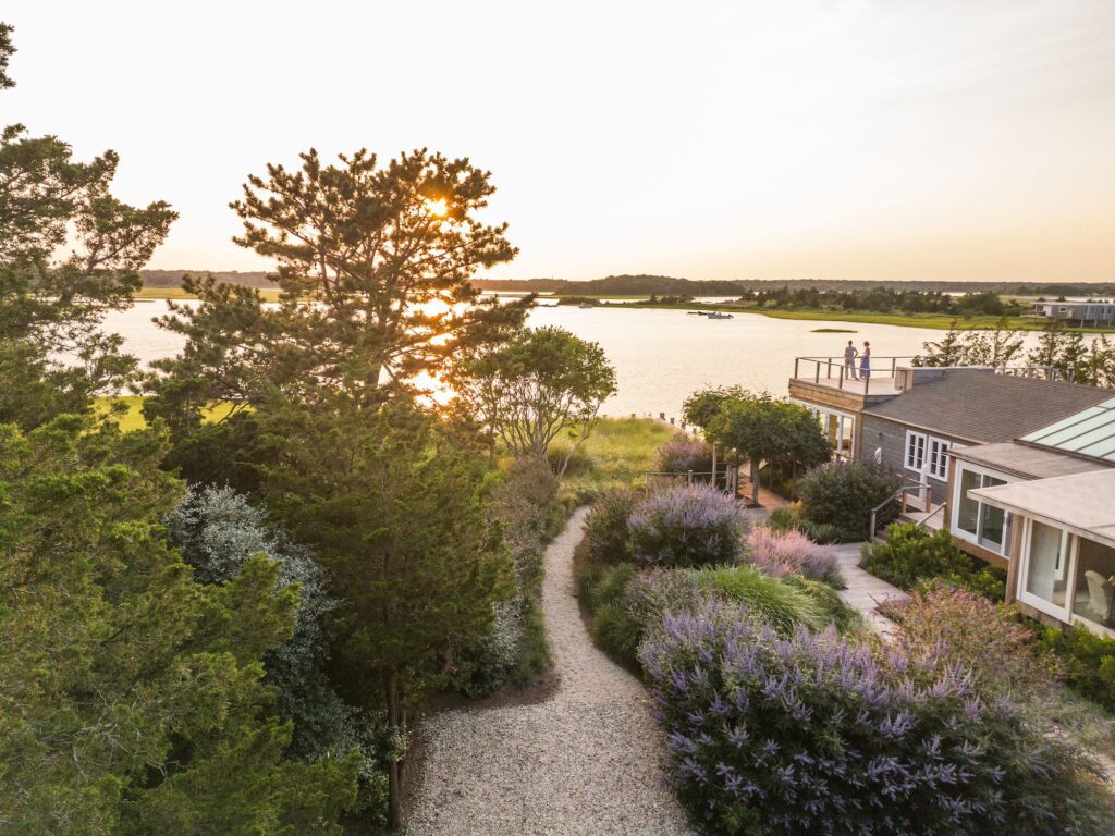 Garden Visit: 10 Lessons from Coastal Lands Designed for Deer Resistance