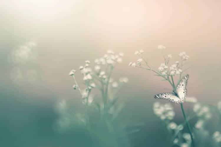 Intentional meditation script for self-compassion
