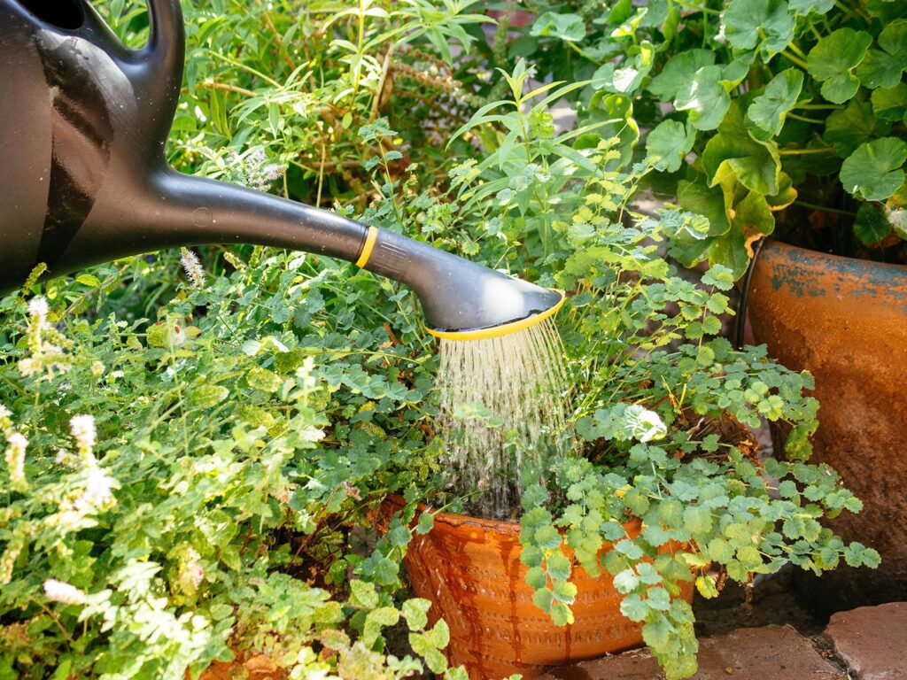 Plant watering calculator for any garden