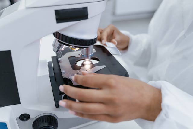 RNA Sequence: Window to the Transcriptome
