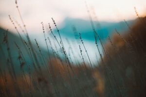 Rain meditation script for difficult emotions