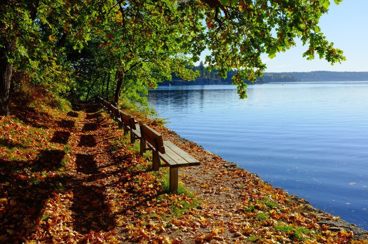 Safe Place Meditation for Emotional Mindfulness