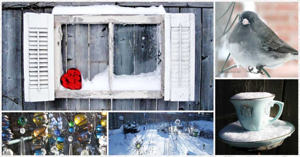 Seven Autumn and Winter Garden Projects to Brighten the Cold Moon