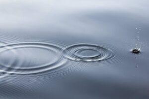 5 sense meditation scripts to raise awareness