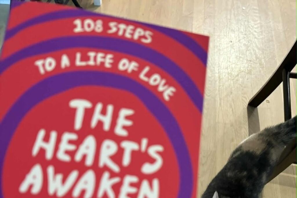 Books and cats