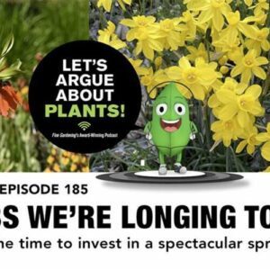 Episode 185: The bulbs we want to buy