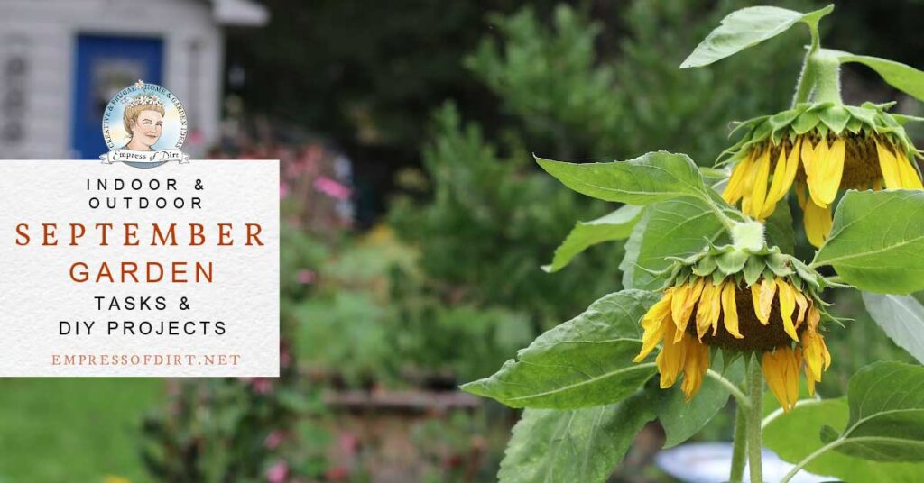 Garden Checklist for September: Tasks and DIY Projects