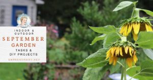Garden Checklist for September: Tasks and DIY Projects
