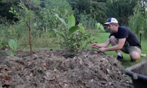 Guild: Does nature really make them?