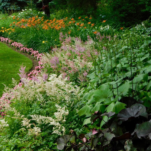 Heidi flowers in Connecticut