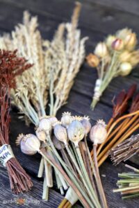 How to dry and store flowers, leaves and pods for crafting