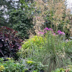 Jeanne's Midsummer Garden in Washington