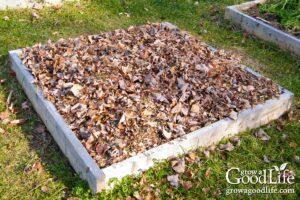 Leaf mulch: How to use finely leaves in your garden