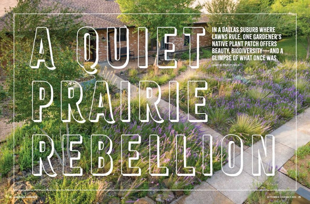 Rebellion in the Quiet Prairie: My Articles from American Gardeners