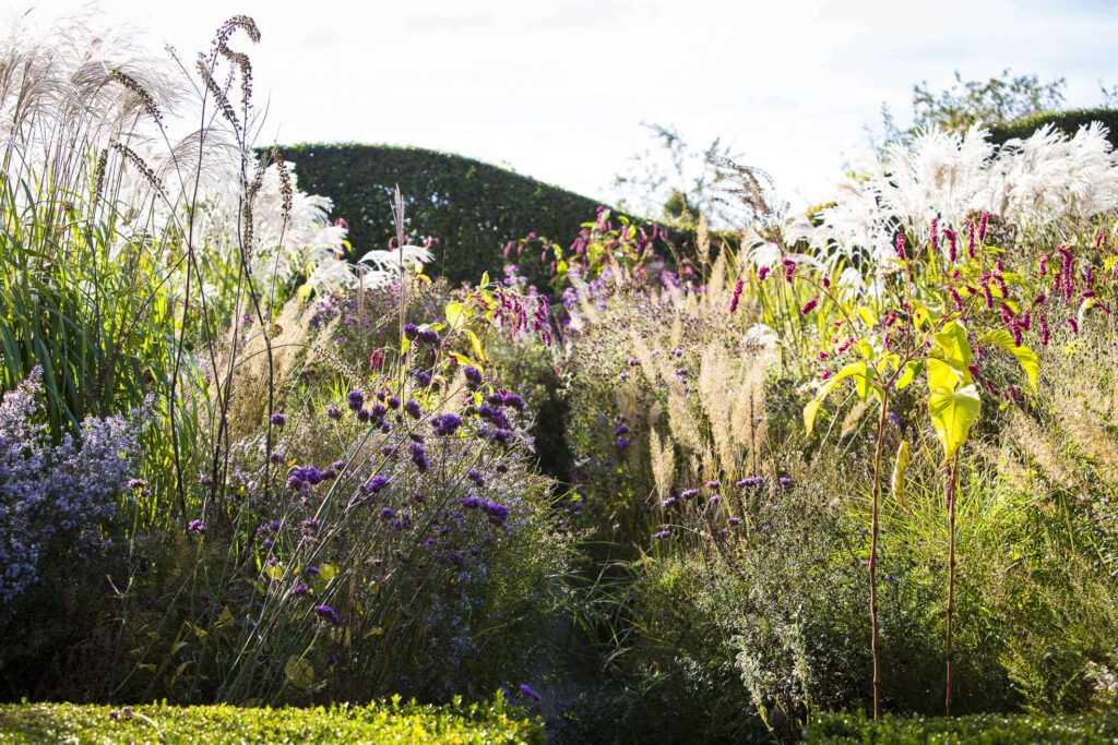 September in the Garden: 8 Ways to Expand the Season