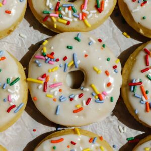 Simple Homemade Cottage Cheese Donut