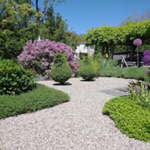 Summer garden in Lynn, Ontario