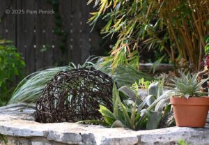 What illuminates the garden?