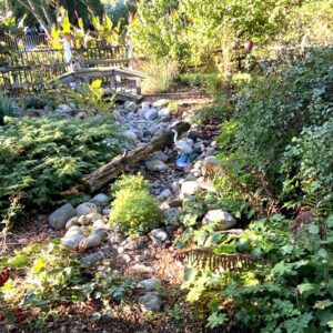 Adele's first day of fall in Indiana