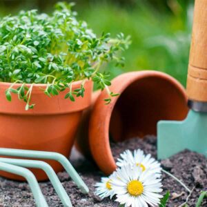 Are you throwing garden gold? 10 Great Ways to Save Old Pots