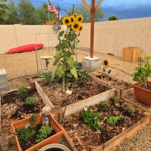 Dawn in Arizona begins preparations for fall