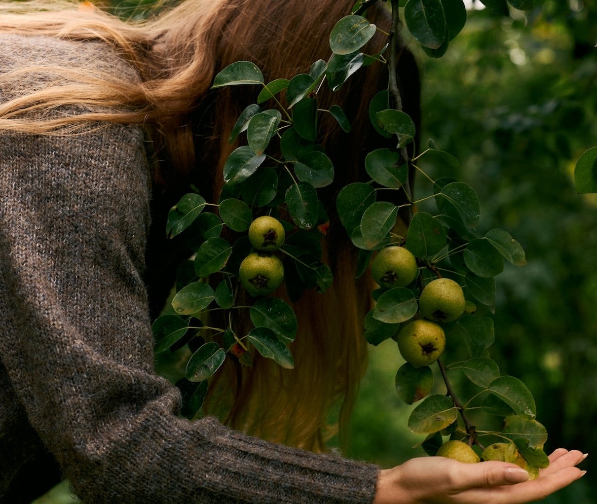 Fall Energy Reset: How to Beat the Afternoon Slump with Seasonal Snacks