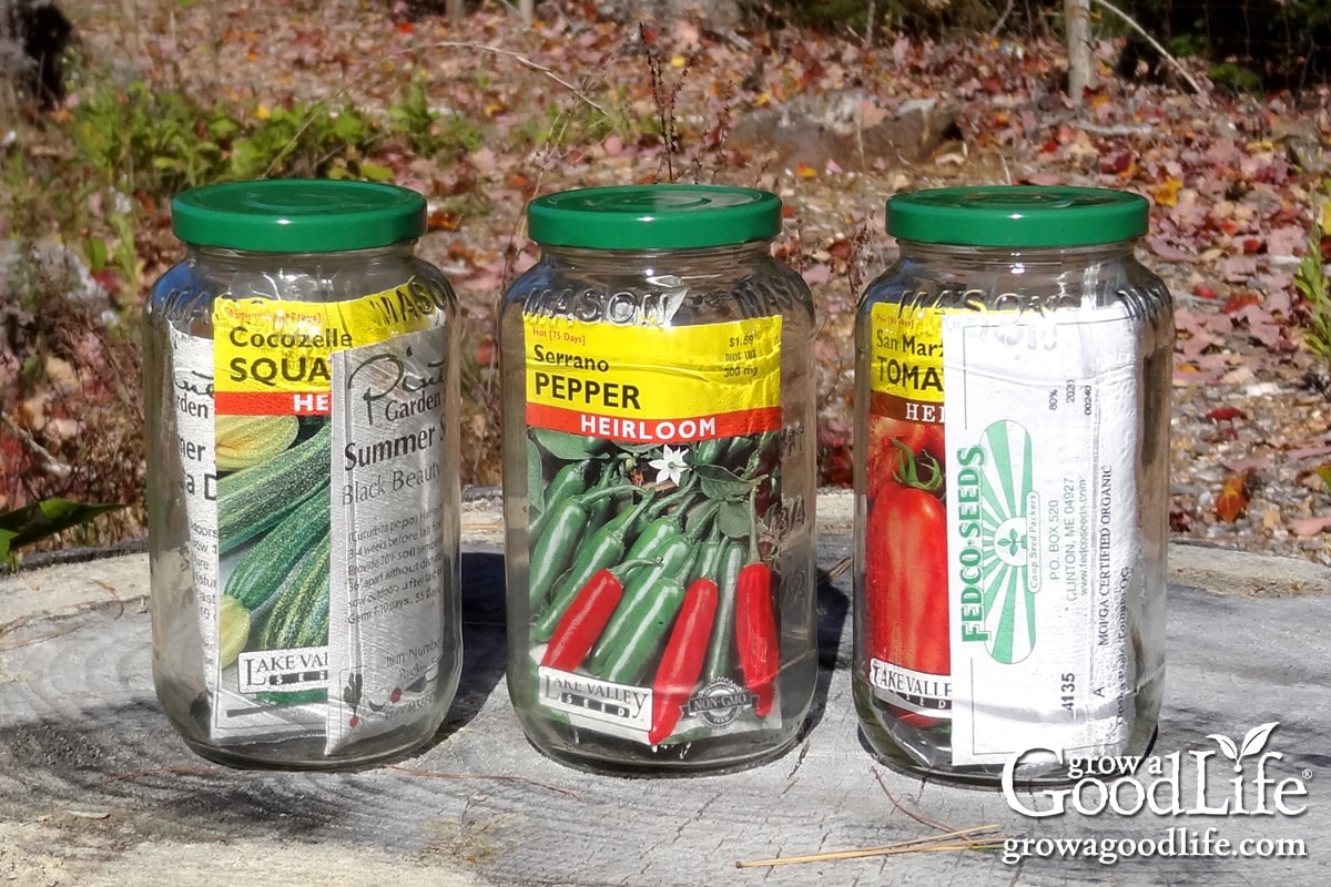 How to save seeds for long-term survival