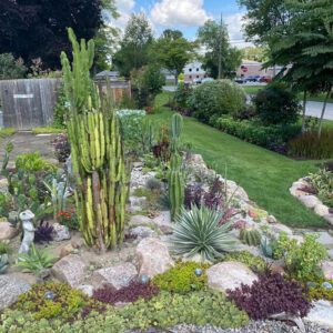 Jacob's Unexpected Garden in Ontario