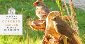 October Garden Checklist: Tasks and DIY Projects
