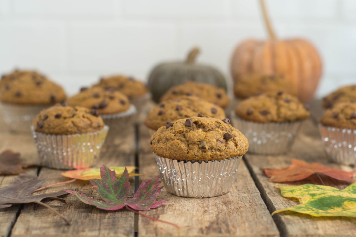 Pumpkin chocolate chip muffins (bakery size!)