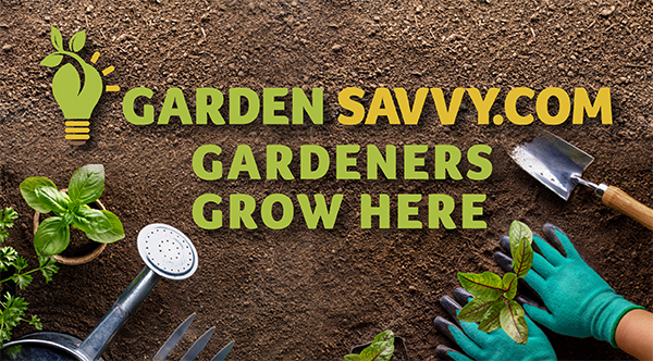 Weeds reveal the soil in your garden (and how to repair it)