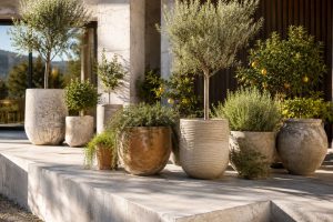 16 Concrete Raised Patio Ideas for the Great Outdoors