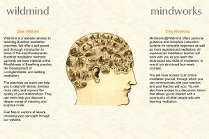 25 years of wild mind
