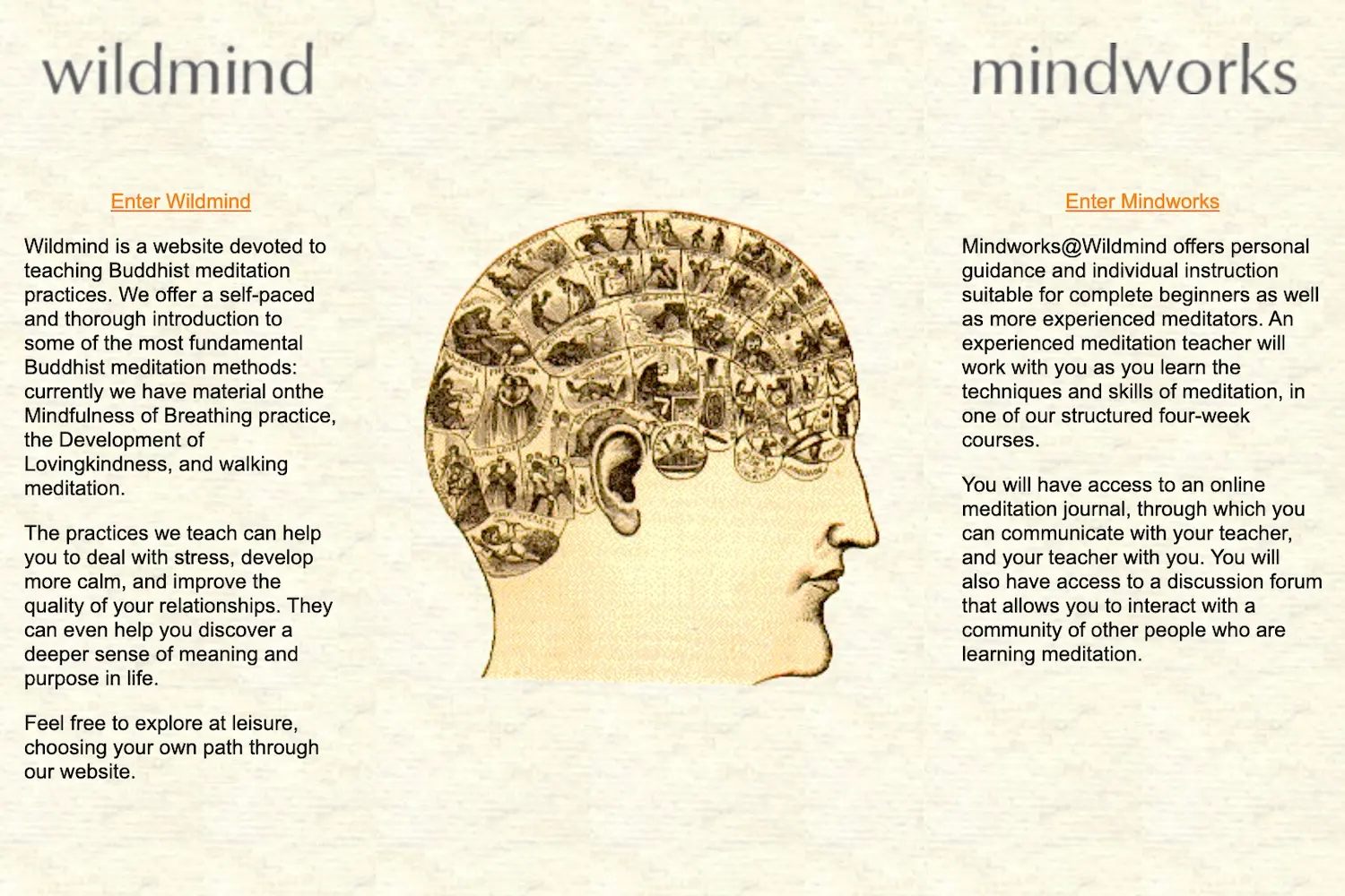 25 years of wild mind