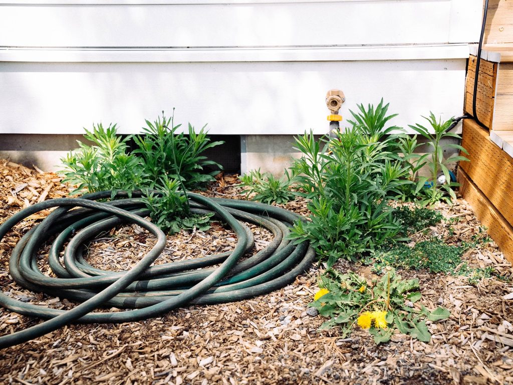 9 Strategies to Keep Weeds Out of Your Garden (No Sprays)
