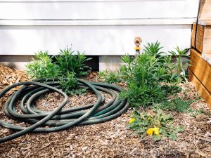 9 Strategies to Keep Weeds Out of Your Garden (No Sprays)