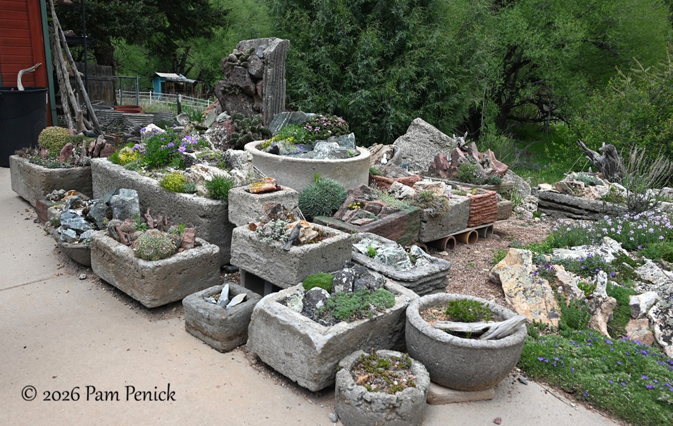 Domenic Turnbull's Gap Garden Kingdom