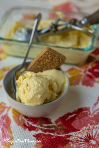 Easy Creamy Instant Low Carb Boiled Egg Ice Cream