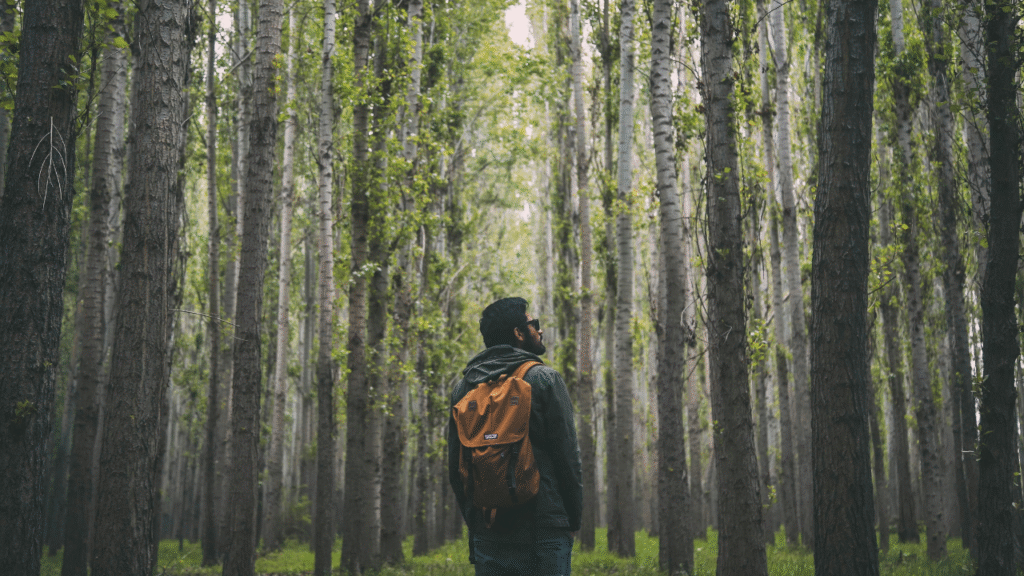 How to improve your mental, physical and emotional health in six months