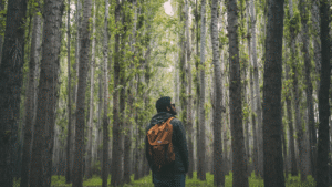 How to improve your mental, physical and emotional health in six months