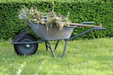 How to prevent gardening injuries