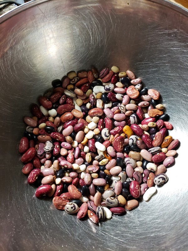 Kenyan court strikes down law banning seed sharing